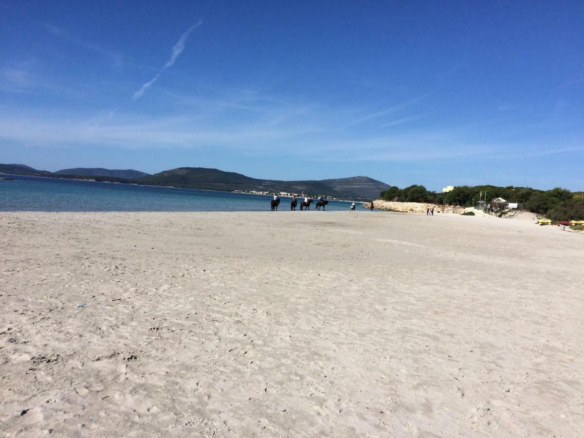 Appartamento Fronte Spiaggia Lido 阿尔盖罗 外观 照片