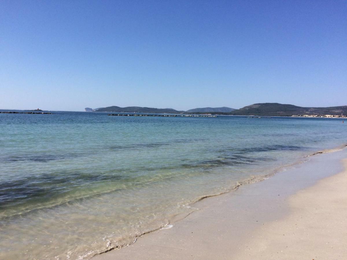 Appartamento Fronte Spiaggia Lido 阿尔盖罗 外观 照片